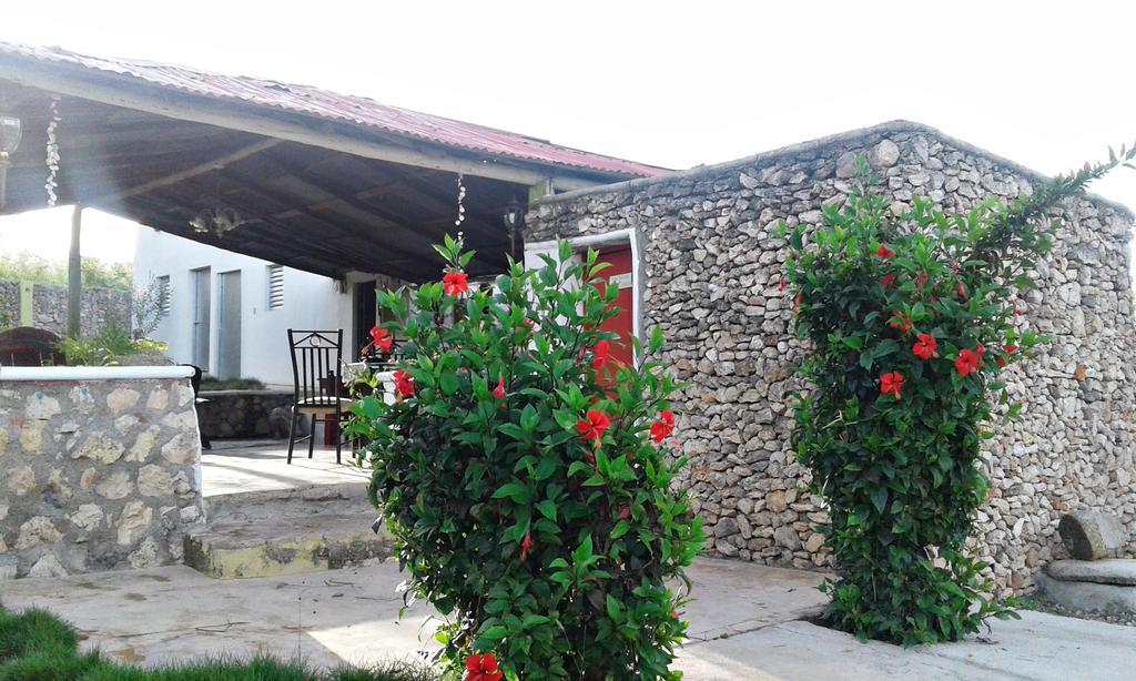 פונטה רוסיה Villa Alfonsina מראה חיצוני תמונה